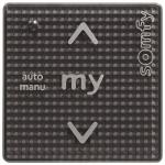 SOMFY Smoove Uno IB + (schwarz) 