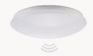 MLIG LED Wand/Deckenleuchte      81-3383 