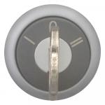 EATON M22-WS3 Schlüsseltaste      216894 