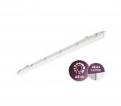 PHIL Ledinaire FR-Leuchte WT065C PC IP65 