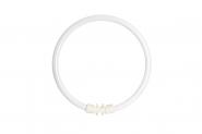 SUH Leuchtstofflampe Ring-Form T5  68806 