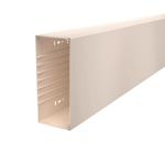 OBO WDK100230CW Wand-u.Deckenkanal 