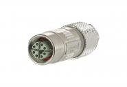 BTR M12 Buchse X-kodiert IP67 MMF881A315 