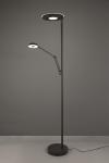 TRIO LED-Stehl.                424210332 