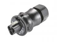 WIEL Stecker mit  RST20I3F S2 ZR1 V SW 