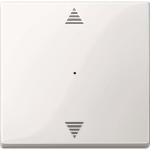 Merten Wippe f.Tastermodul 1fach  619419 