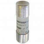 Mersen Sicherungseinsatz     FR22GR69V63 
