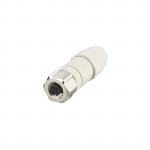 IFM SDOGH040VASFKPG               EVF565 