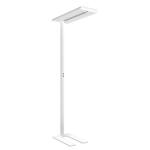 LTS LED-Stehleuchte  OPT-S 110.840.1/DIM 