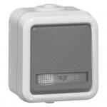 PEHA Serientaster, grau      D 625 T WAB 