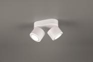 TRIO Ein-/Aufbauspot TAURUS ws 652910231 