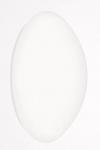 TRIL Wannenleuchte Mondia G3 WD1 7962540 