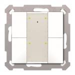 MDT BE-TA55P4.G2 Taster Plus 55 Plus 4-f 