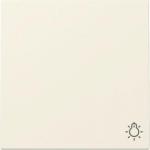 GIRA 328501 Wippe Symbol Licht System 55 