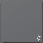 GIRA 328567 Wippe Symbol Licht TX_44 