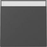 GIRA 3299005 Wippe Beschriftungsfeld 