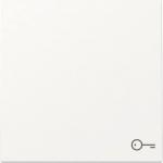 GIRA 328727 Wippe Symbol Tür System 55 