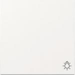GIRA 328503 Wippe Symbol Licht System 55 
