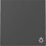 GIRA 3285005 Wippe Symbol Licht 