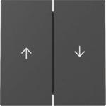 GIRA 3294005 Wippe 2fach Pfeil System 55 