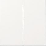 GIRA 329503 Wippe 2fach System 55 