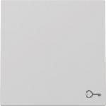 GIRA 3287015 Wippe Symbol Tür System 55 