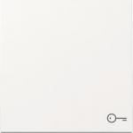 GIRA 328703 Wippe Symbol Tür System 55 