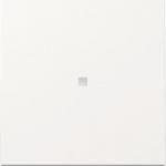 GIRA 329003 Wippe Kontrollfenster 