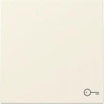 GIRA 328701 Wippe Symbol Tür System 55 