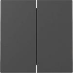 GIRA 3295005 Wippe 2fach System 55 