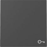 GIRA 3287005 Wippe Symbol Tür System 55 