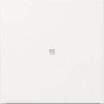 GIRA 349003 Wippe gerade Kontrollfenster 