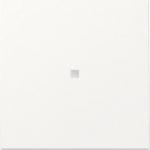 GIRA 329027 Wippe Kontrollfenster 