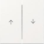 GIRA 329403 Wippe 2fach Pfeil System 55 
