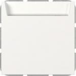 GIRA 314027 Hotel-CardS+N-Kl.System 55 