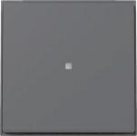 GIRA 329067 Wippe Kontrollfenster TX_44 