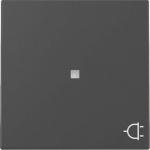 GIRA 3291005 Wippe Kontrollfenster+Symb. 