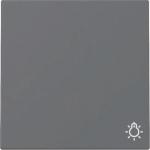 GIRA 328528 Wippe Symbol Licht System 55 