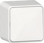 GIRA 310613 Wippschalter Aus-Wechsel AP 