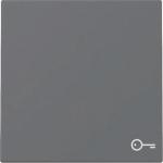 GIRA 328728 Wippe Symbol Tür System 55 