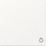 GIRA 328527 Wippe Symbol Licht System 55 