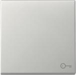 GIRA 3287600 Wippe Symbol Tür System 55 