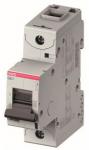 ABB Hochl.-Sicher.-a.,         S801C-D40 