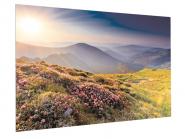 KIND FullVision 124x220cm     6005000801 