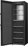 Hisense FT5K310GSFC1 sw Gefrierschrank 