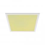 Paulmann WallCeiling Amaris ZB     79809 