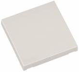 ELDAT Taste Ein/Aus ws  RTS22-ACC-02-02P 