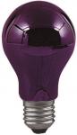 PAULM Glühlampe 75W E27           590.70 