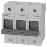 Doepke Coron              Coron2 D0-63-3 