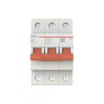 AEG Lasttrennschalter AEG 3P    ESD30100 